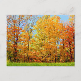 Foto Herbst 2004 Postkarte