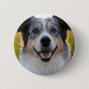 Foto hinzufügen Anpassen Button