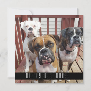 Foto hinzufügen  Happy Birthday von Hunden Ankündigung