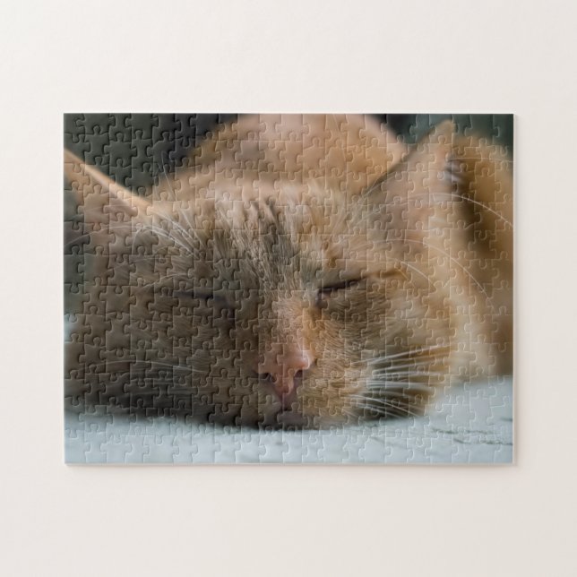 Foto hinzufügen | Ihr Furry Friend (Horizontal)