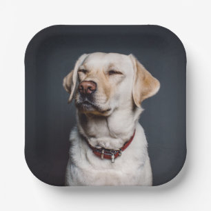 Foto hochladen pappteller