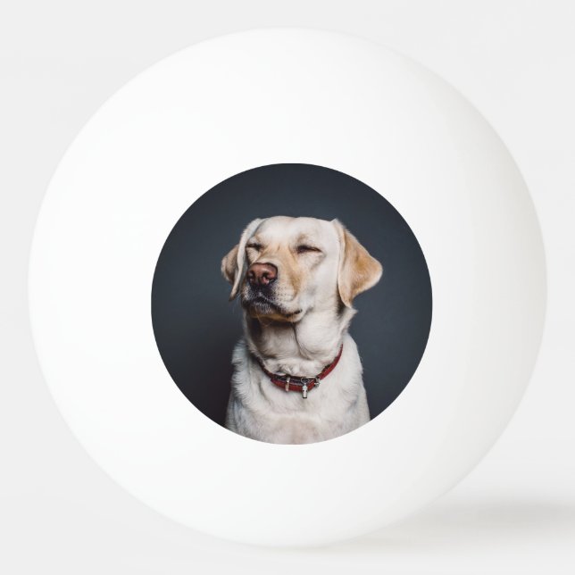 Foto hochladen tischtennisball (Vorderseite)