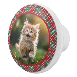 Foto Ihr Katzen Hund rot grün Kariert Keramikknauf