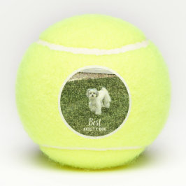 Foto Ihres Hauses Personalisiert mit Text Tennisbälle