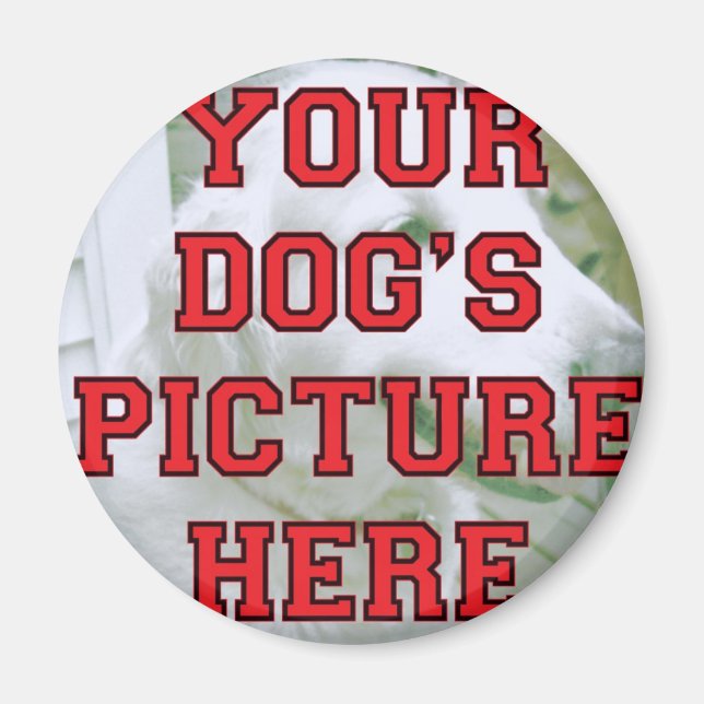 Foto Ihres Hundes individuell angepasst Magnet (Vorne)