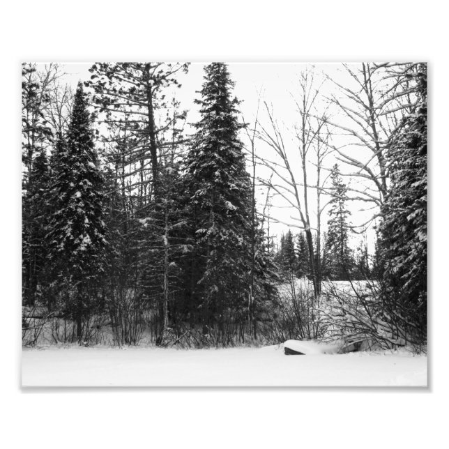 Foto im Winter-Szenenbereich Print BW (Vorne)