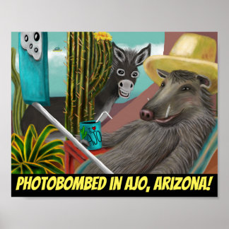 Foto in Ajo Arizona, Arizona Postkarte Poster