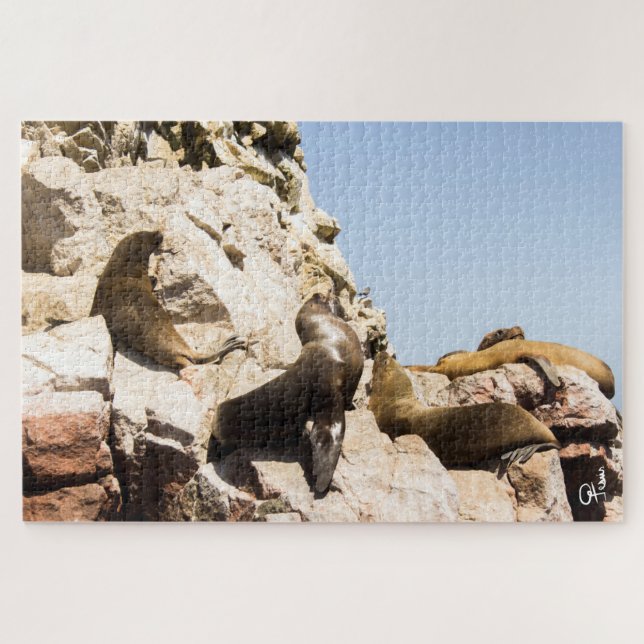 Foto Islas Ballestas, Paracas - Perú (Horizontal)