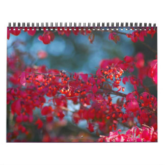Foto-Kalender 2007 - besonders angefertigt Kalender