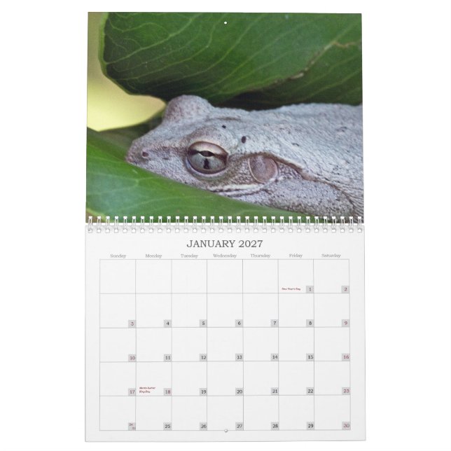 Foto-Kalender 2013 Kalender (Jan 2027)