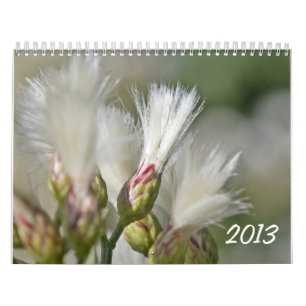 Foto-Kalender 2013 Kalender