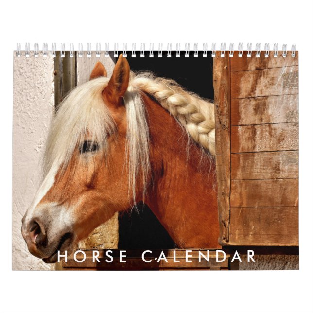 Foto Kalender 2026 Schöner Wallenkalender (Titelbild)