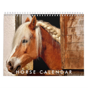 Foto Kalender 2026 Schöner Wallenkalender