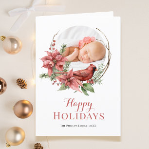 Foto Kardinal Kraut Weihnachten