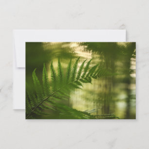 Foto-Karte für Fern Nature