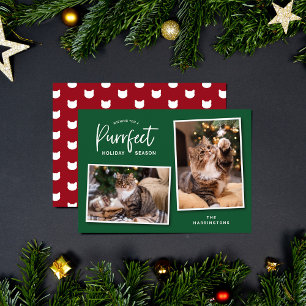 Foto-Karte von Green und Red Cat Face Purffect Feiertagskarte