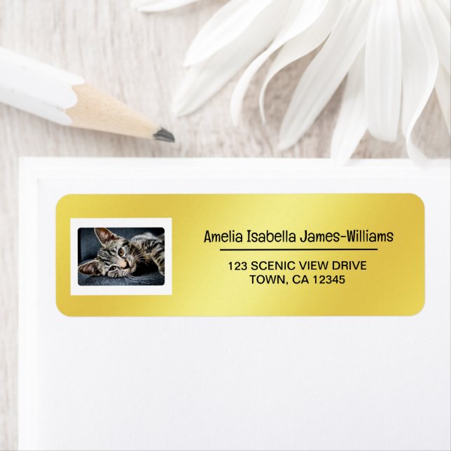 Foto Katze Elegante Moderne Rücksendeadresse Golde (Insitu)