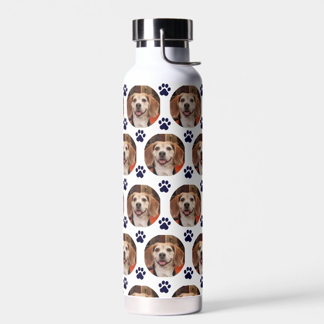 Foto Katze Katze Katze Niedlicher weißer schwarzer Trinkflasche (Links)