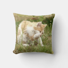 Foto Katze , Tiere . Kissen werfen
