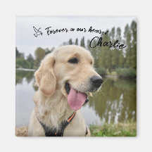 Foto Keepake Memorial Geschenk für Haustiere