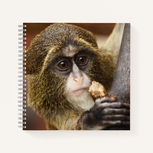 Foto Klettersteig Notizbuch (Vorderseite)
