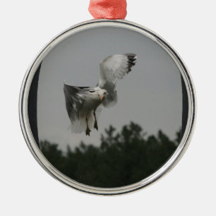 Foto Large Oval Frame hinzufügen (schwarz) Silbernes Ornament