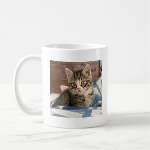 Foto "Lieblings-Kitty-Cat" hinzufügen Kaffeetasse