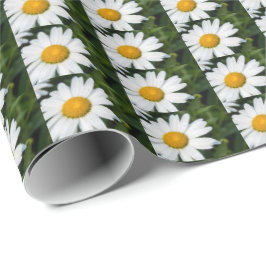Foto machen ein margueritte, Tropfen Wasser, Grün Geschenkpapier
