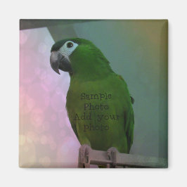Foto Magnet (Foto hinzufügen)