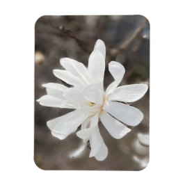 Foto-Magnet für die weiße Blume Magnet