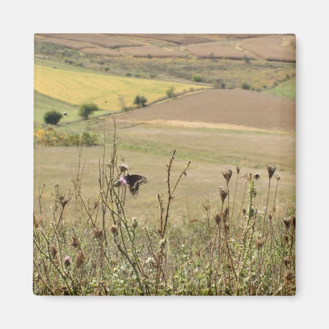Foto Magnet Natur und Schmetterling (Vorne)