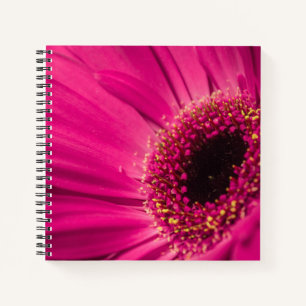 Foto, Makro Notizbuch