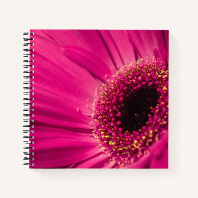 Foto, Makro Notizbuch (Vorderseite)