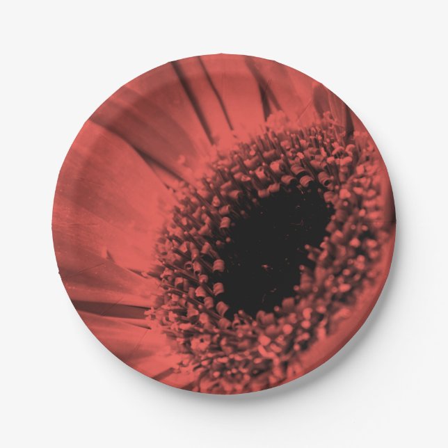 Foto, Makro Pappteller (Vorderseite)