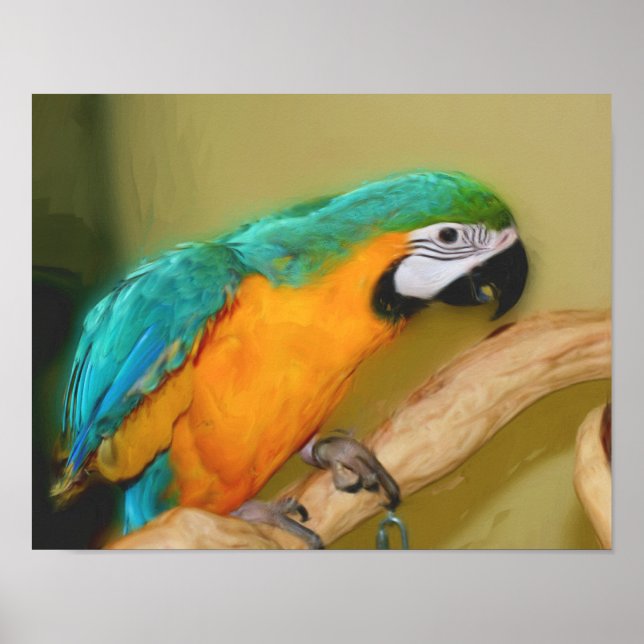 Foto-Malerei mit Blaugoldmaka Poster (Vorne)