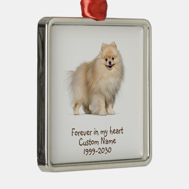 Foto-Memorial Keepake-Dog Ornament Aus Metall (Rechts)