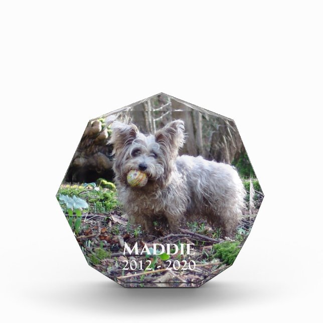 Foto-Memorial mit Name und Datum Fotoblock (Vorderseite)