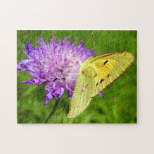 Foto mit getrübtem Gelbschmetterling Puzzle und Ge