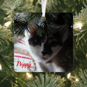 Foto mit Namen Ornament Aus Metall