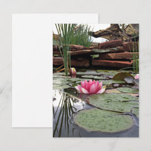 Foto mit rosa Seerosen Reflexionen Postkarte