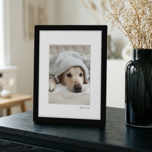Foto Modernes Schwarz-Weiß-Rahmen-Pet Fotoplatte