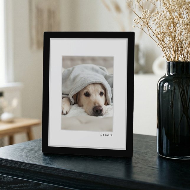 Foto | Modernes Schwarz-Weiß-Rahmen-Pet Fotoplatte (Pet Photo | Modern Minimal Black & White Frame Pet)