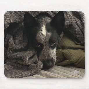 Foto Mouse Pad - HAMbyWG Mousepad