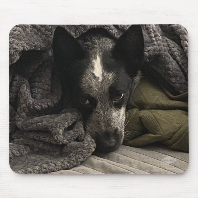 Foto Mouse Pad - HAMbyWG Mousepad (Vorne)