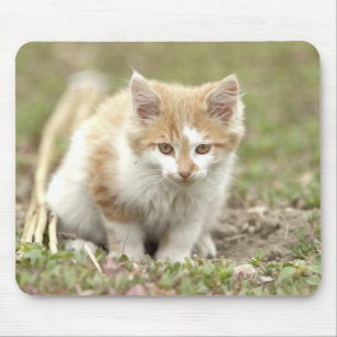 Foto Mousepad