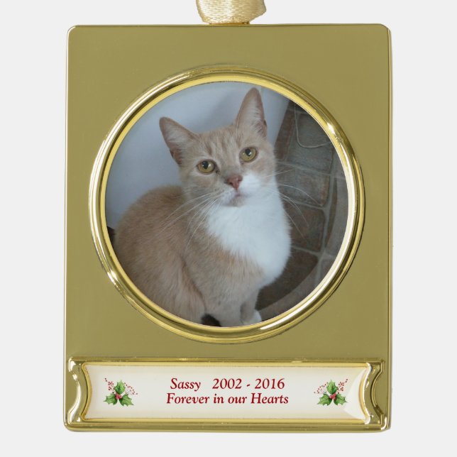 Foto-Name-Daten-Memorial Banner-Ornament Gold (Vorderseite)