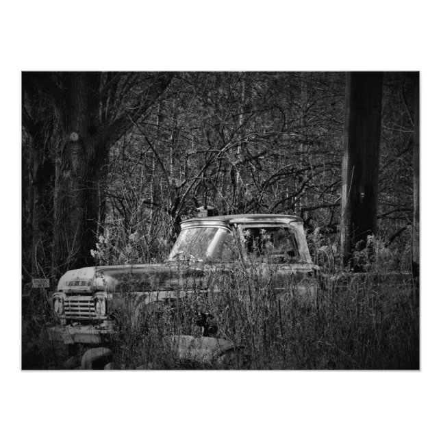 Foto "Nature, Take the Wheel" (Vorne)