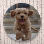 Foto | Niedlicher Adorable Hund hochladen Button<br><div class="desc">Individuelles Foto entwerfen Sie Ihre eigene Vorlage, um Ihr Lieblingsfoto Ihres Hundes, Ihrer Katze, Haustiere, Babys, Kinder, Familie oder Freunden einzuschließen! Eine leicht zu personalisierende Vorlage, um Ihr eigenes Design mit Ihrem eigenen Bild zu gestalten. Das perfekte Geschenk für einen geliebten! Das abgebildete Bild dient nur zur Veranschaulichung, um durch...</div>