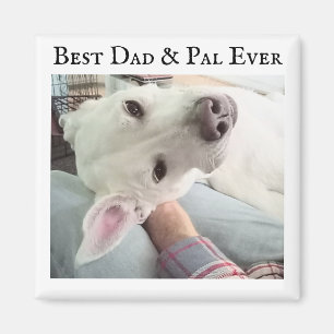 Foto Niedlicher Hund Bester Vater Pal je Blue Deni Magnet