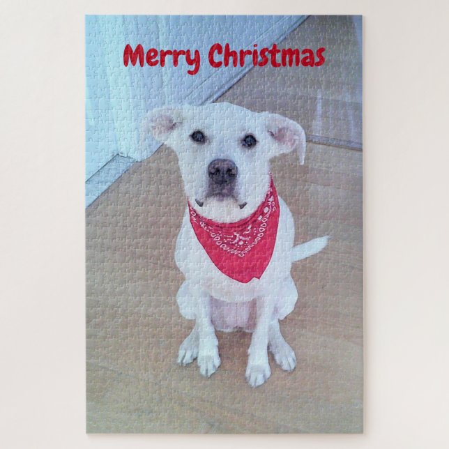 Foto Niedlicher Hunde mit sonnigen Ohrklemmen (Vertikal)